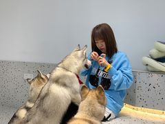 -Husky Go!哈士奇体验馆·宠物咖啡厅狗咖