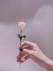 点击看大图 -可瑞娜美甲美颜汇