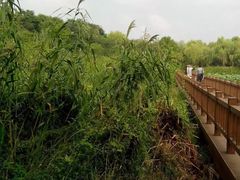 -东关历史文化旅游区-东门遗址