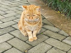-广州珠江公园