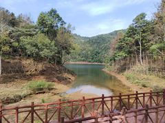 -广州市石门国家森林公园