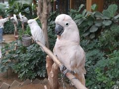 -南宫五洲植物乐园