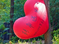 -WeLope紫金山探险公园