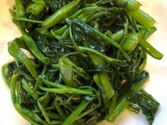 -曾牛肉