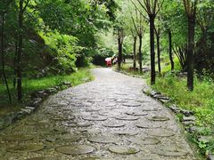 -十渡东湖港风景区