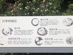 -上海植物园-4号门售票处