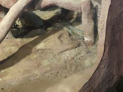-长鹿旅游休博园