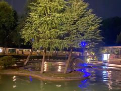 -三江森林温泉度假区