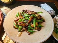 -菌自由丨野生菌火锅特色庭院餐厅(丽江古城店)