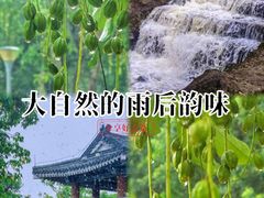 -高榜山景区