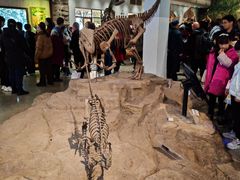 -自贡恐龙博物馆