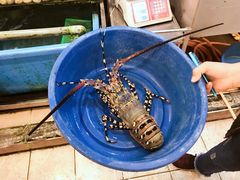 -真浪花园海鲜餐馆