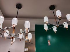 -张士灯具城(家居优选店)
