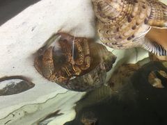 -欢乐海岸海洋奇梦馆