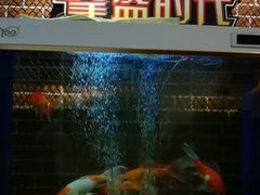 -拳盛时代拳击俱乐部(北京路店)