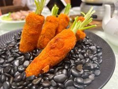 -丁老爷子苏香圆