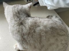 -宠颐生宠物医院·骨外科·犬猫全科诊疗中心(池州店)