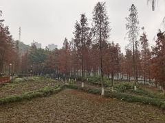 -重庆彩云湖湿地公园