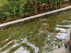 -开元溶洞