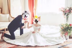 点击看大图 -THE QUEEN(北京店)