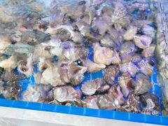 -必点蒸汽海鲜(止锚湾店)