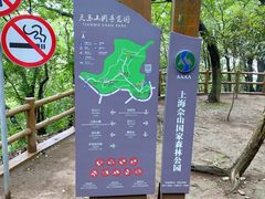 -上海佘山国家森林公园天马山园