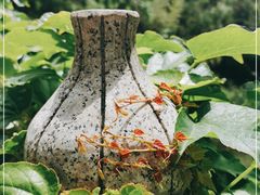 -竹泉村旅游度假区