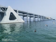 -星海湾跨海大桥