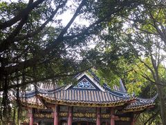 -顺峰山公园