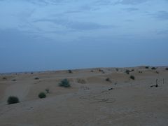 -迪拜沙漠冲沙