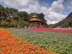 -广州市石门国家森林公园