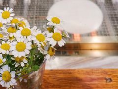 -饵块食光·云南有机手作饵块