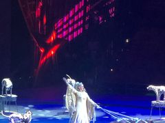 -珠海横琴长隆《卡卡虎奇遇记》