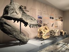-自贡恐龙博物馆