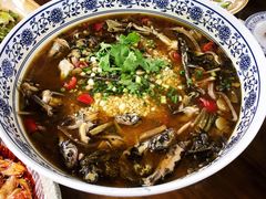 -青城甲(青城山店)