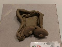 -蕃茄田艺术(普陀长风大悦城中心)