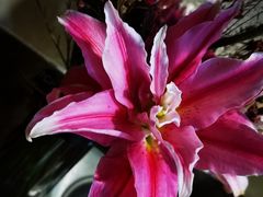 -Butchart布查德鲜花(花艺设计中心)