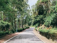 -火炉山森林公园