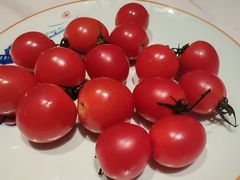 -山东宾馆·齐鲁苑餐厅