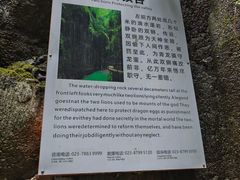-阿依河景区