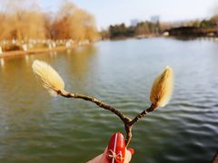 -白塘生态植物园