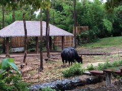 -清迈夜间动物园