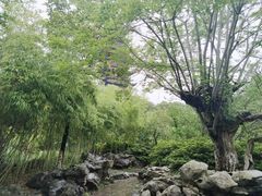 -常熟方塔园