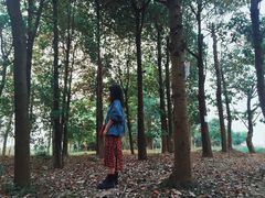 -白鹭湾湿地公园