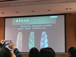 -北京七彩云南翡翠珠宝旗舰店(月坛店)