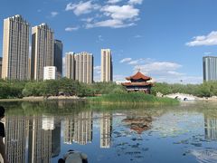 -青城公园