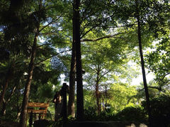iphone_upload_pic-厦门日月谷温泉渡假村