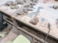 -世界恐龙谷景区