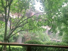 -成都安仁福朋喜来登酒店