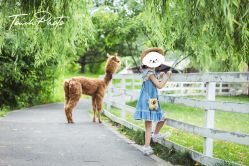 -韩国童感TOUCH PHOTO儿童摄影(朝阳分店)